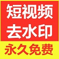 免费视频去水印下载
